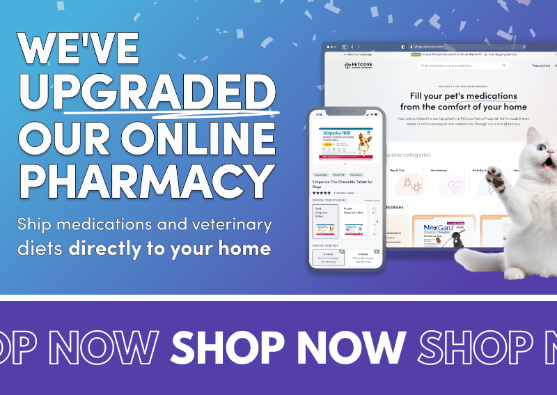 Carousel Slide 4: online pet pharmacy